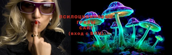 ПСИЛОЦИБИНОВЫЕ ГРИБЫ Нефтегорск